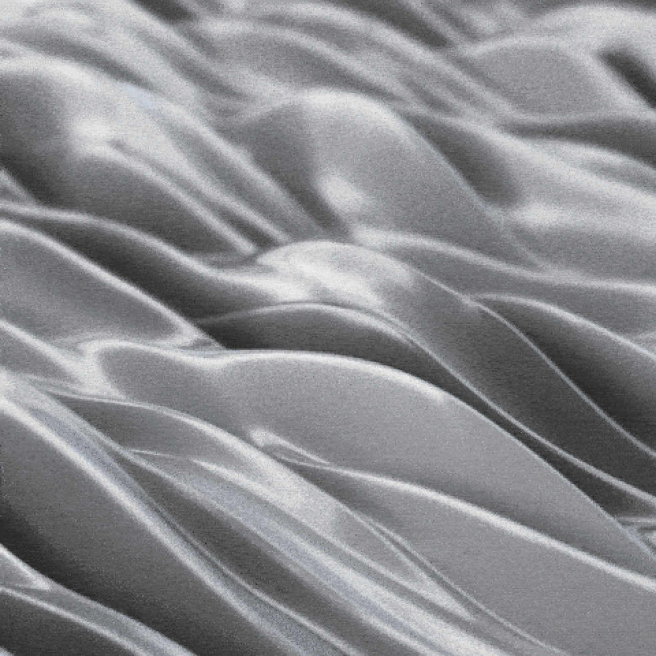 Quando la tecnologia diventa linguaggio - WE RAD